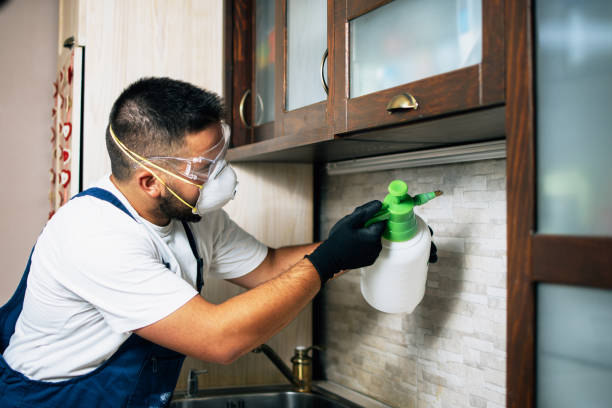 Best Residential Pest Control  in Madera Acres, CA
