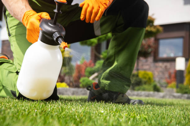Best Commercial Pest Control Services  in Madera Acres, CA