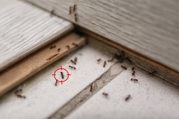 Madera Acres, CA Pest Control Company