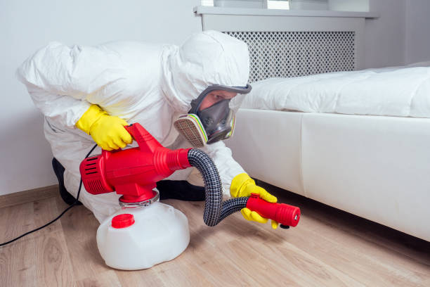 Best Affordable Pest Control Services  in Madera Acres, CA