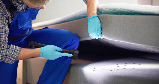 Best Best Pest Control Companies  in Madera Acres, CA